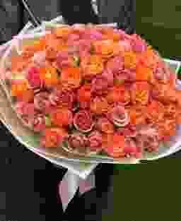 101 оранжево-розовая роза (Кения)