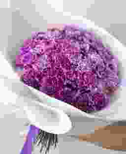 Букет из 35 фиолетовых гвоздик