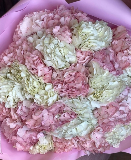 25 гортензий (белая, розовая)