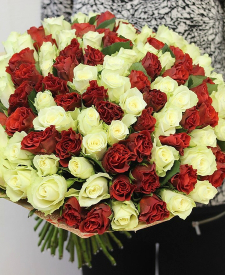 101 красно-белая роза (Кения)