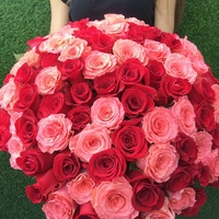 101 розовая роза (40 см)