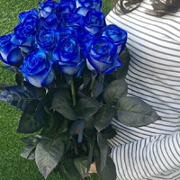 Букет 17 синих роз