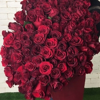 101 красная роза (90 см)