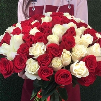 101 красно-белая роза (50 см)