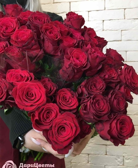 Розы Кения Premium (40 см)